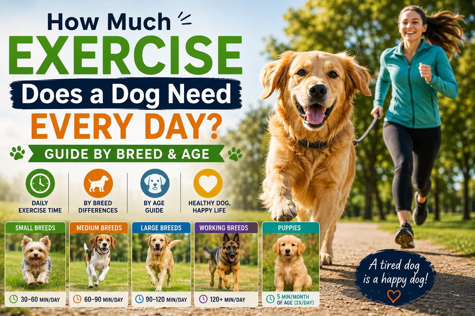 How Much Exercise Does a Dog Need Every Day Guide by Breed